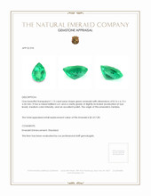 1.13 Ct. Emerald from Zambia Appraisal