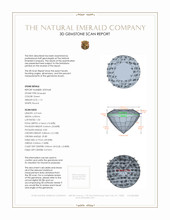 Jewelry 3 D Scan Report