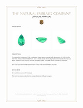 3.88 Ct. Emerald from Colombia Appraisal