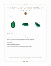 6.87 Ct. Emerald from Brazil Appraisal