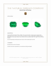 2.83 Ct. Emerald from Zambia Appraisal