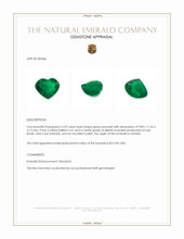 3.69 Ct. Emerald from Zambia Appraisal