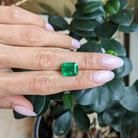 5.62 Ct. Emerald from Zambia Life Style