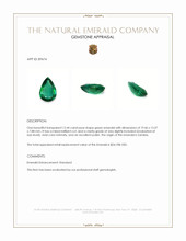 12.44 Ct. Emerald from Zambia Appraisal