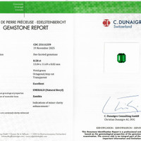 8.58 Ct. Emerald from Zambia Scan Report