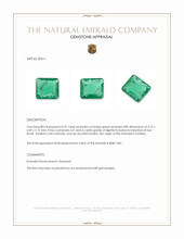 0.97 Ct. Emerald from Zambia Appraisal