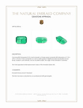 0.94 Ct. Emerald from Colombia Appraisal