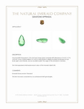 1.28 Ct. Emerald from Colombia Appraisal