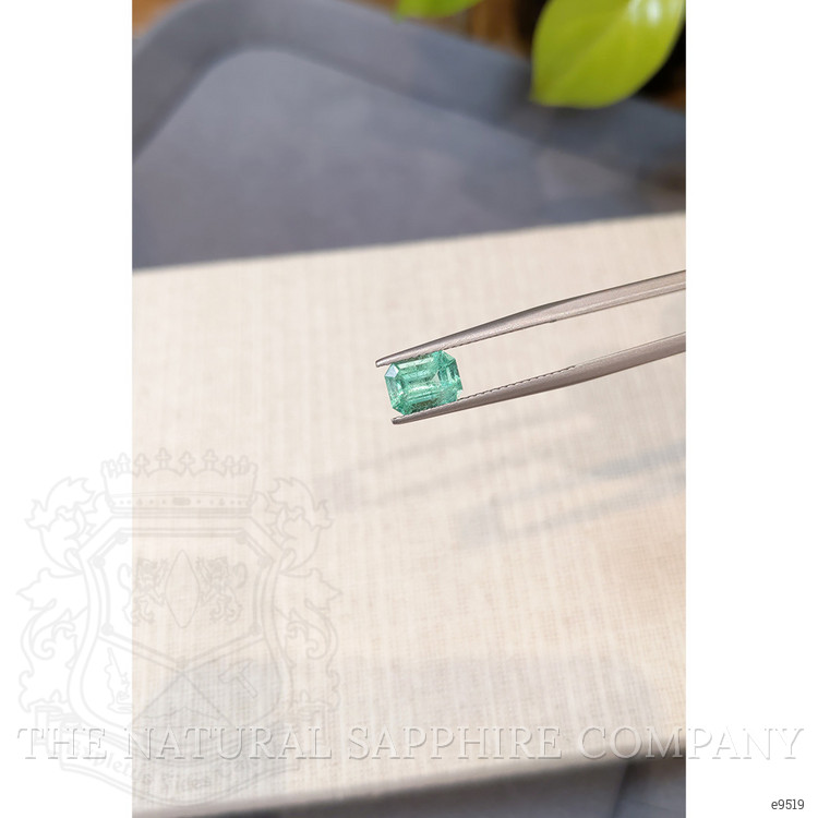 1.23 Ct. Emerald from Brazil
