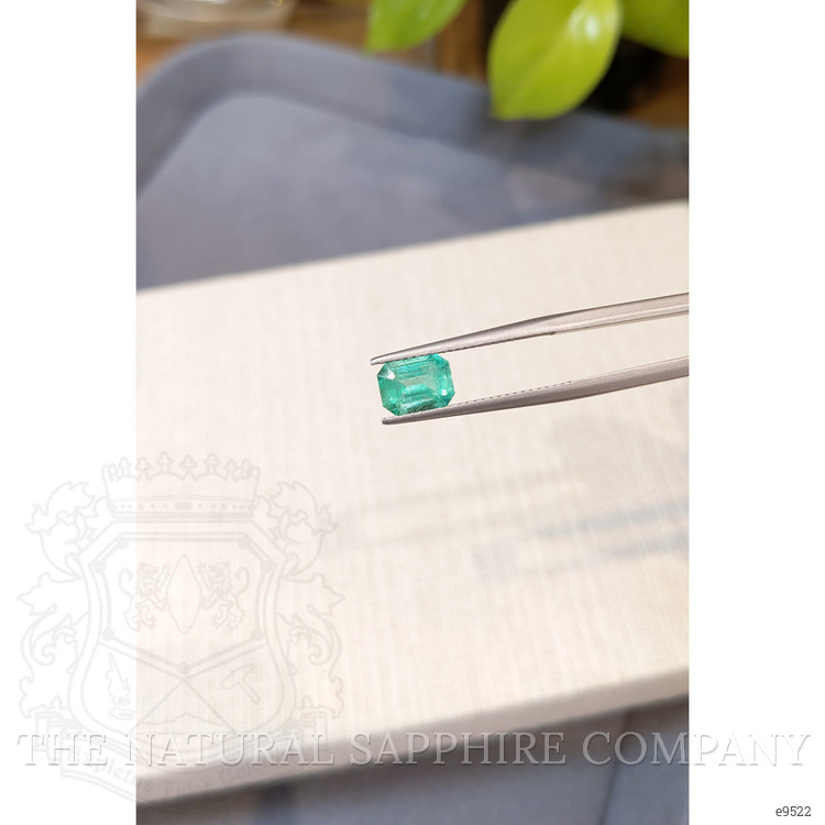 1.29 Ct. Emerald from Brazil