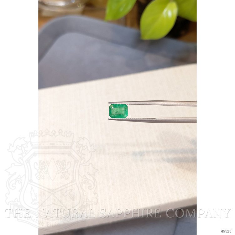 1.37 Ct. Emerald from Zambia
