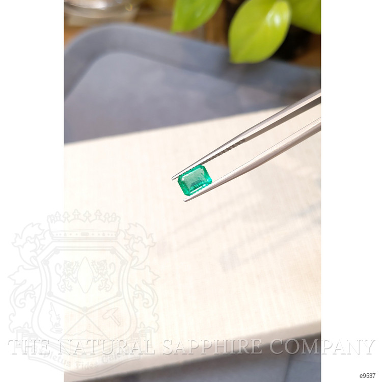 0.92 Ct. Emerald from Zambia