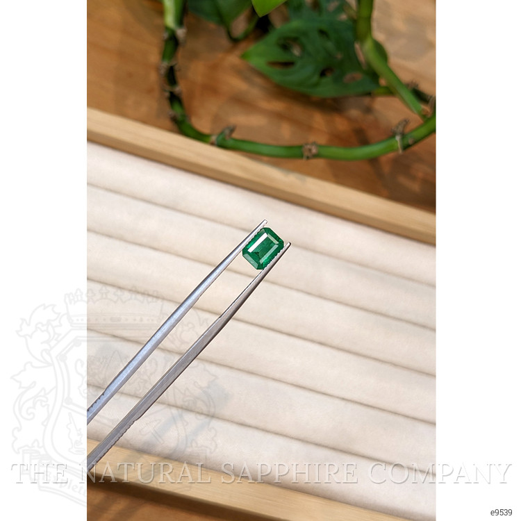 1.44 Ct. Emerald from Zambia