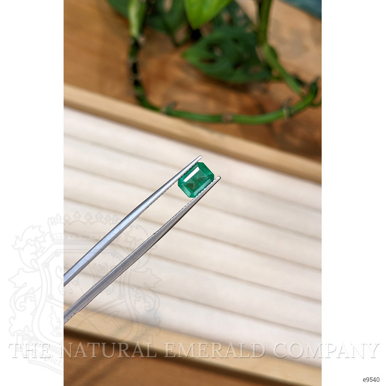 1.62 Ct. Emerald from Zambia
