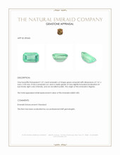 1.01 Ct. Emerald from Nigeria Appraisal