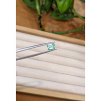 1.34 Ct. Emerald from Nigeria Life Style