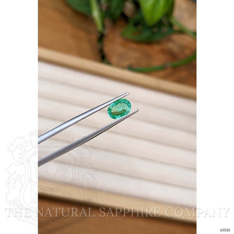 0.98 Ct. Emerald from Nigeria