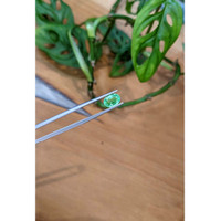 1.26 Ct. Emerald from Nigeria Life Style