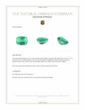 2.62 Ct. Emerald from Nigeria Appraisal