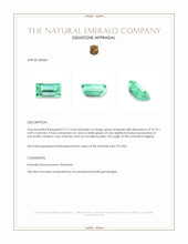 2.77 Ct. Emerald from Nigeria Appraisal