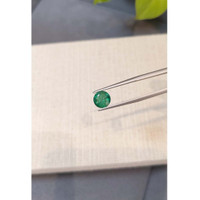 1.73 Ct. Emerald from Zambia Life Style