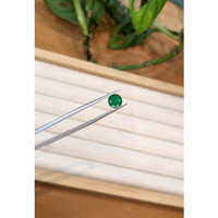 1.27 Ct. Emerald from Zambia Life Style