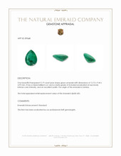 3.19 Ct. Emerald from Zambia Appraisal