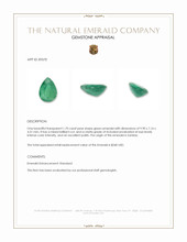 1.70 Ct. Emerald from Zambia Appraisal