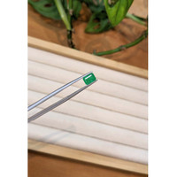 1.20 Ct. Emerald from Zambia Life Style