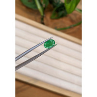 1.74 Ct. Emerald from Zambia Life Style
