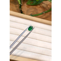 1.25 Ct. Emerald from Zambia Life Style