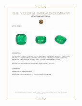1.06 Ct. Emerald from Zambia Appraisal
