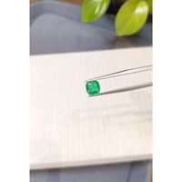 1.06 Ct. Emerald from Zambia Life Style