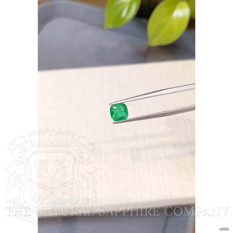 1.06 Ct. Emerald from Zambia