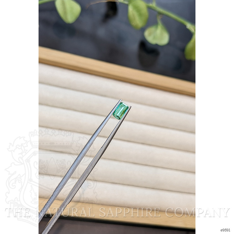 0.52 Ct. Emerald from Colombia