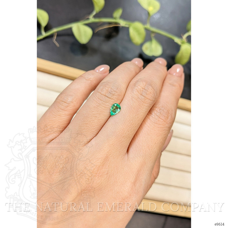 0.46 Ct. Emerald from Afghanistan