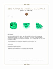 3.84 Ct. Emerald from Colombia Appraisal