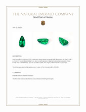 3.09 Ct. Emerald from Colombia Appraisal