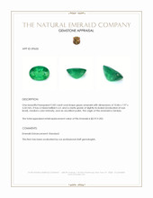 2.82 Ct. Emerald from Zambia Appraisal