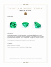7.33 Ct. Emerald from Colombia Appraisal