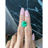 7.33 Ct. Emerald from Colombia Life Style