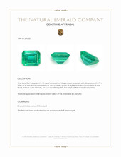 1.15 Ct. Emerald from Zambia Appraisal
