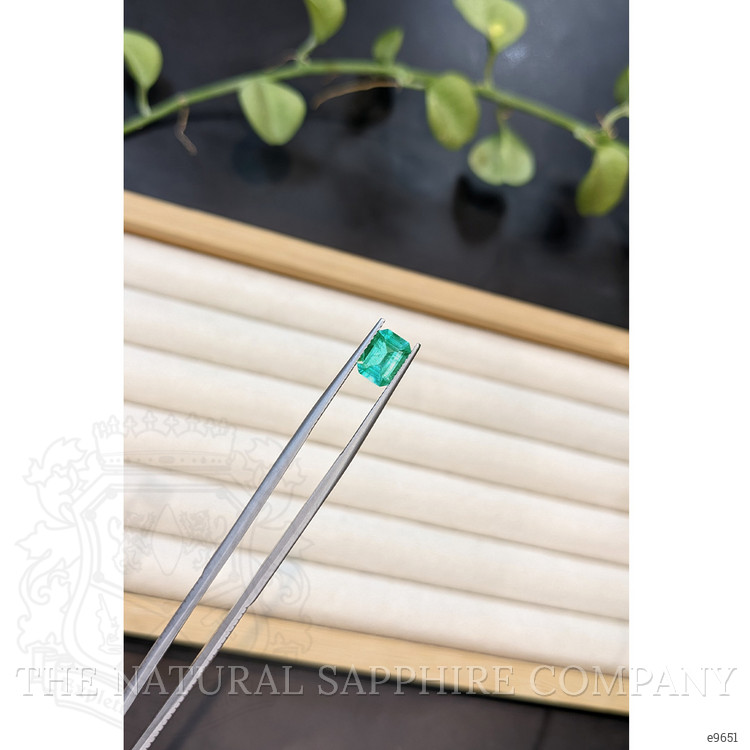 1.24 Ct. Emerald from Brazil
