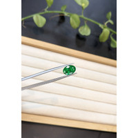3.17 Ct. Emerald from Zambia Life Style