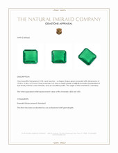 5.98 Ct. Emerald from Colombia Appraisal