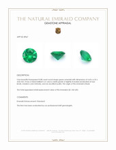 0.88 Ct. Emerald from Brazil Appraisal