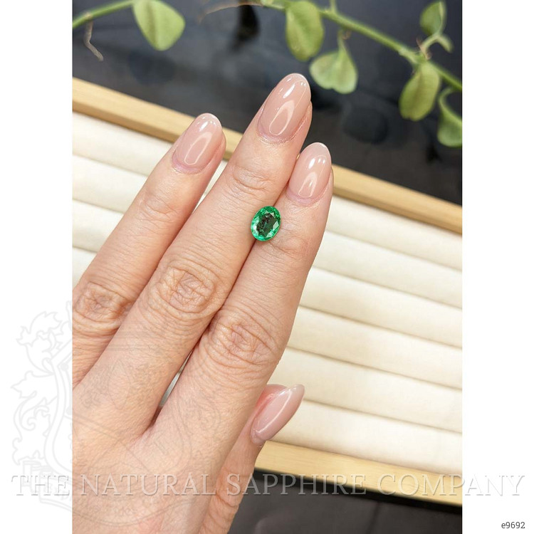 1.20 Ct. Emerald from Colombia