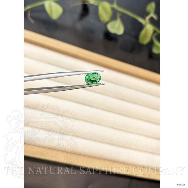 1.20 Ct. Emerald from Colombia