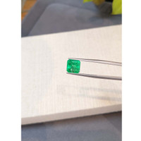 3.69 Ct. Emerald from Colombia Life Style
