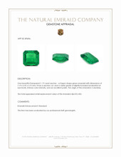1.19 Ct. Emerald from Colombia Appraisal